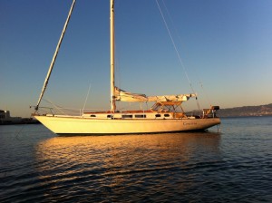 IMG_0335