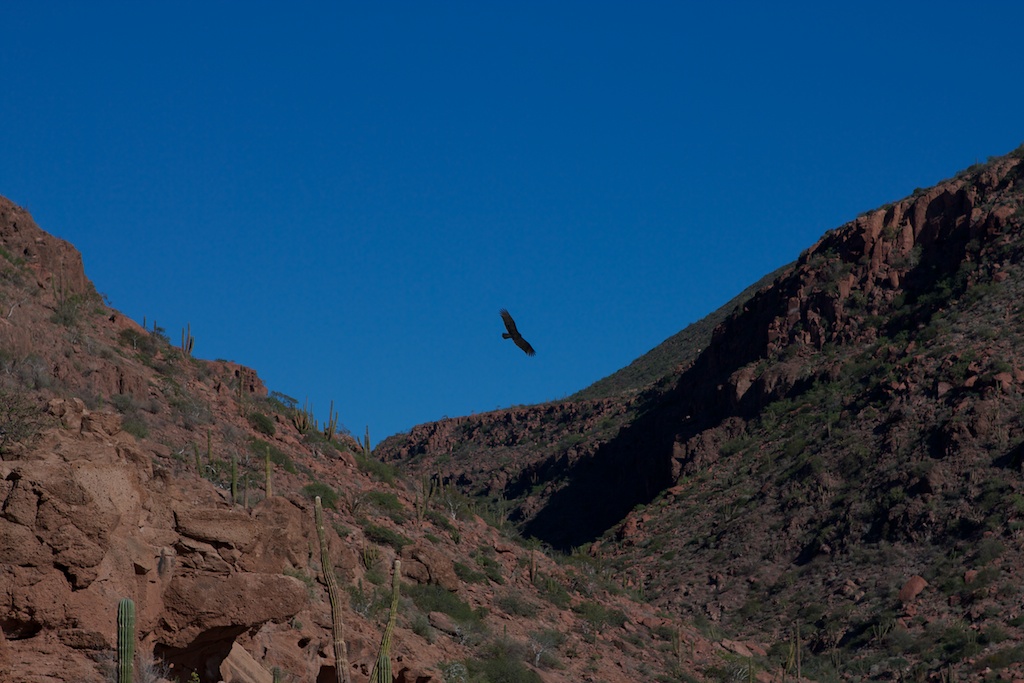 La Paz to Mazatlan in Photos