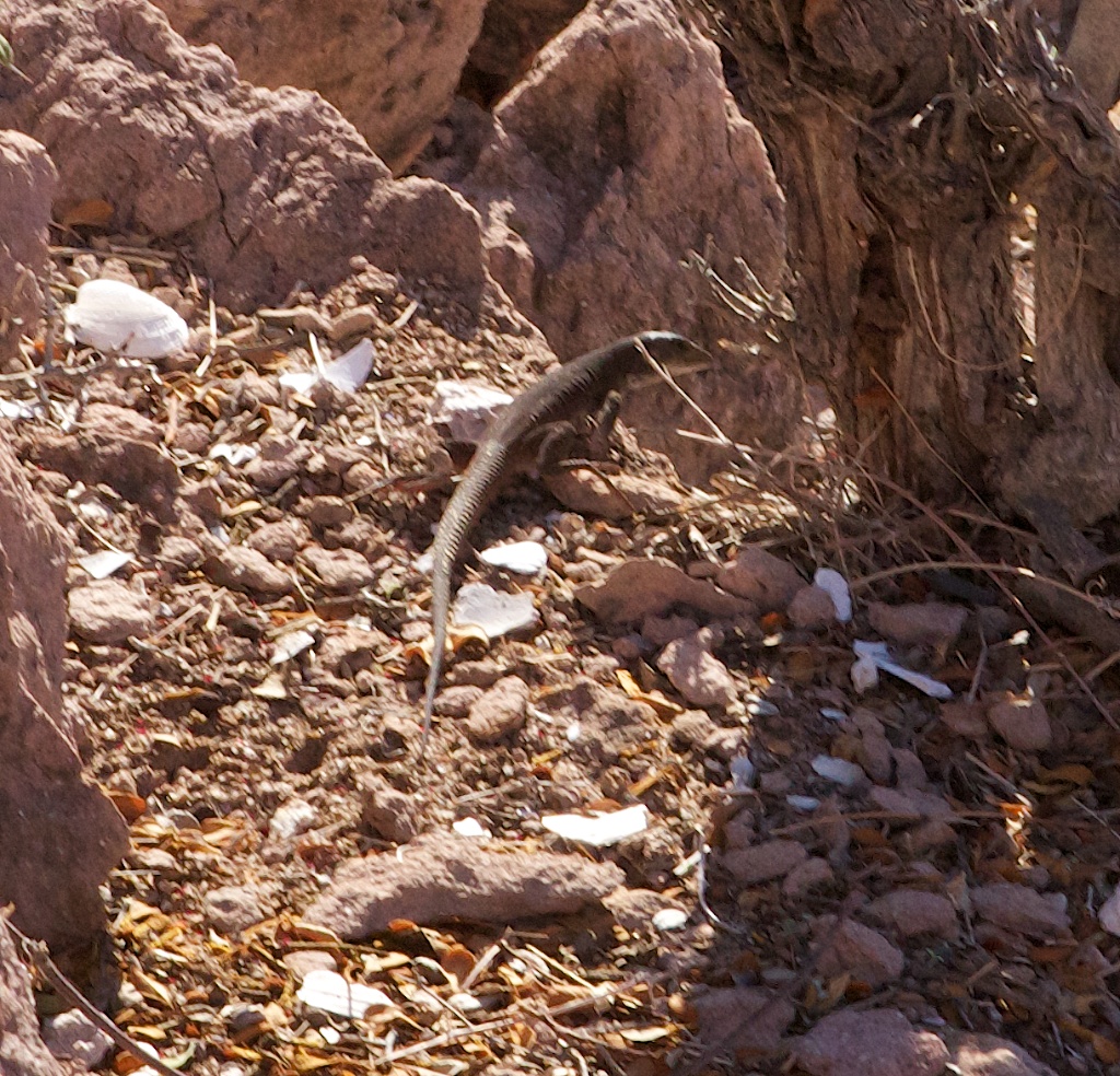 La Paz to Mazatlan in Photos