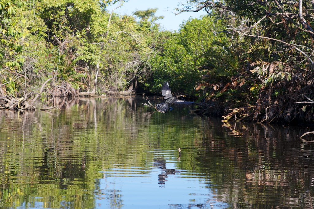 San Blas
