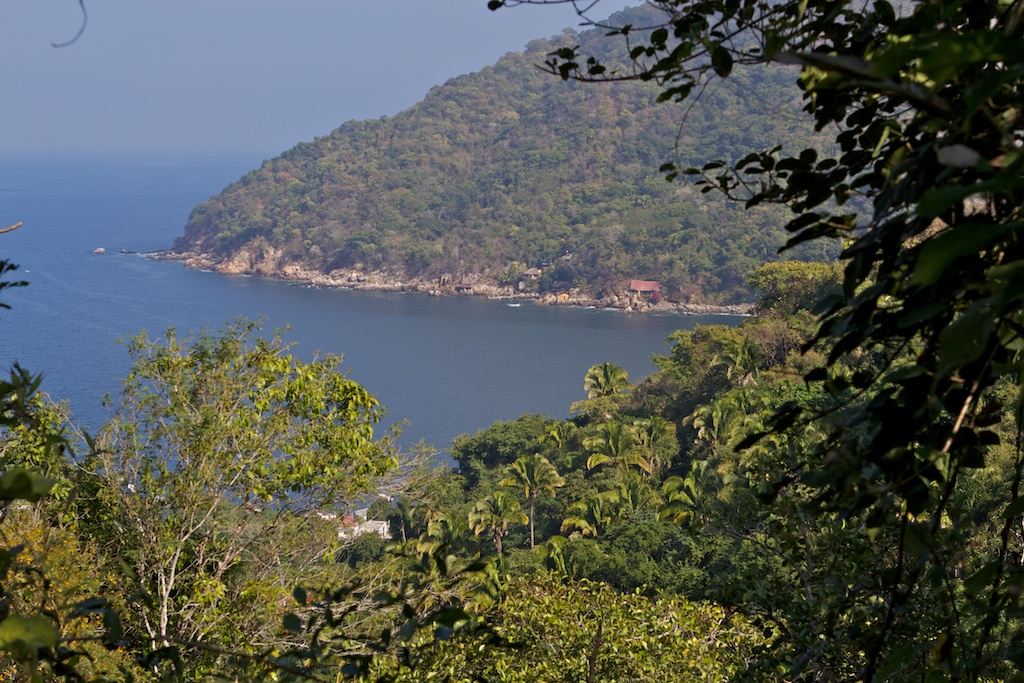 Yelapa Yeah
