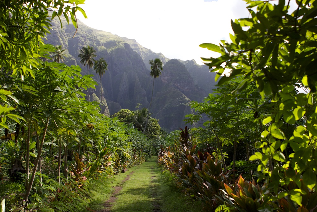 Vaipo Waterfall