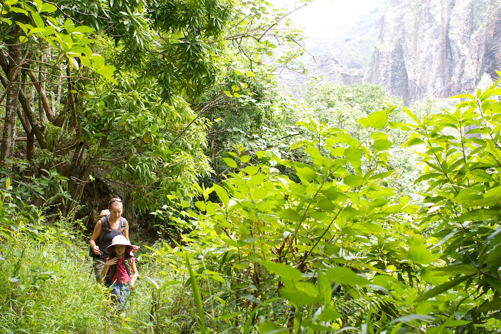 Vaipo Waterfall