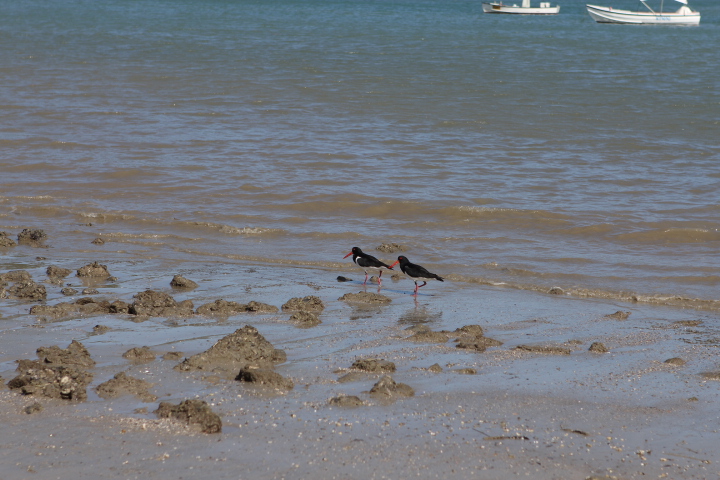 Great Keppel Island in Photos