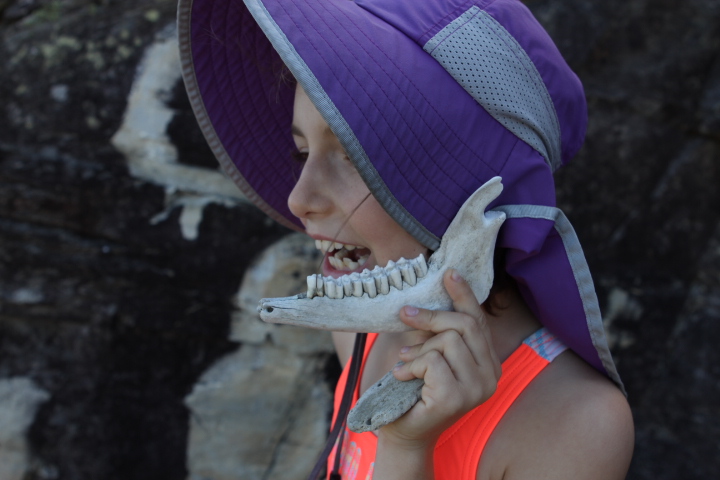 Great Keppel Island in Photos