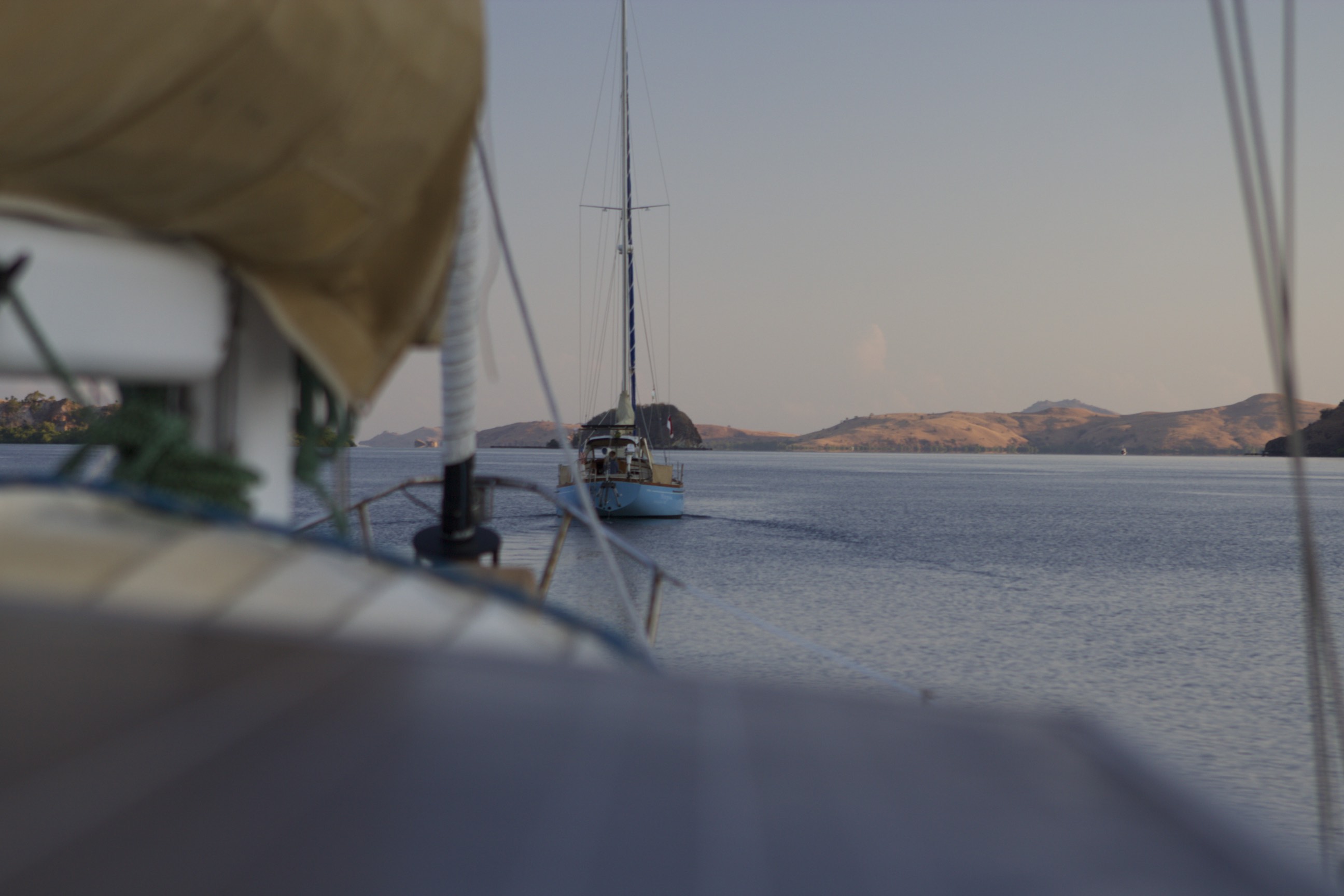 I Want to See Dragons for My Birthday