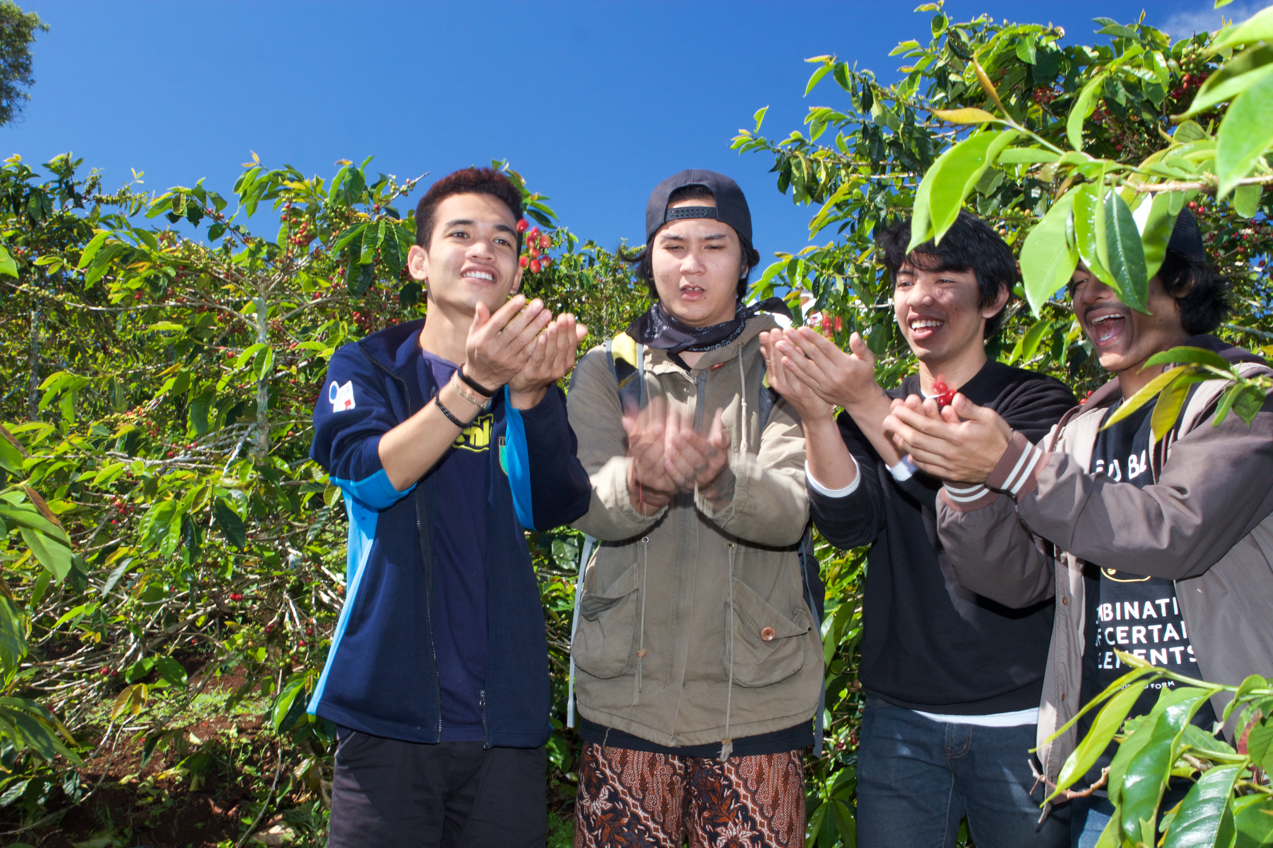 Panen Raya (Harvest Time)