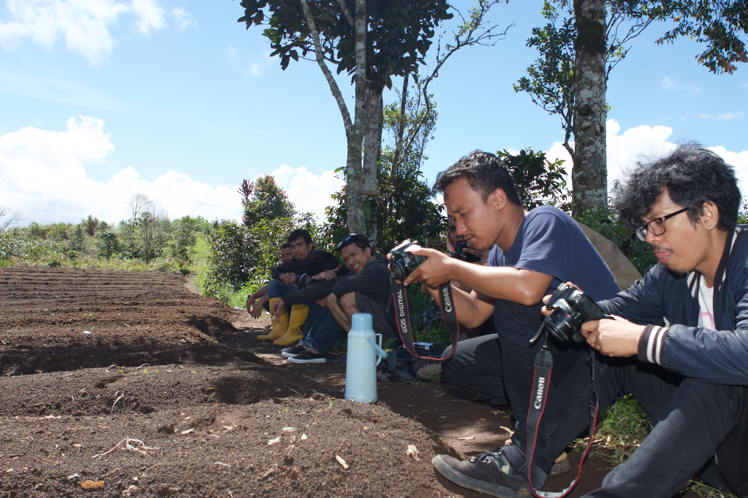 Panen Raya (Harvest Time)