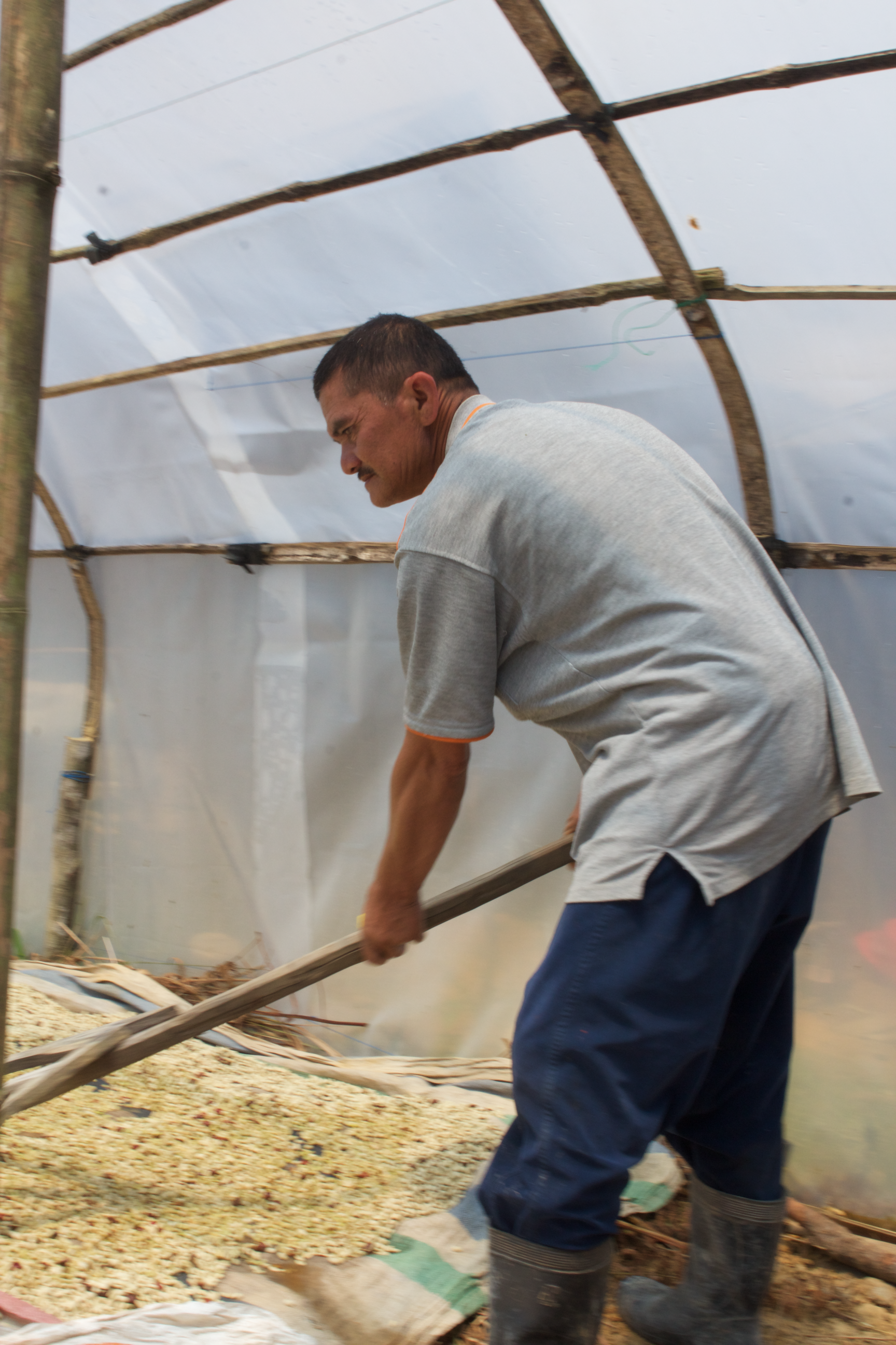 Panen Raya (Harvest Time)