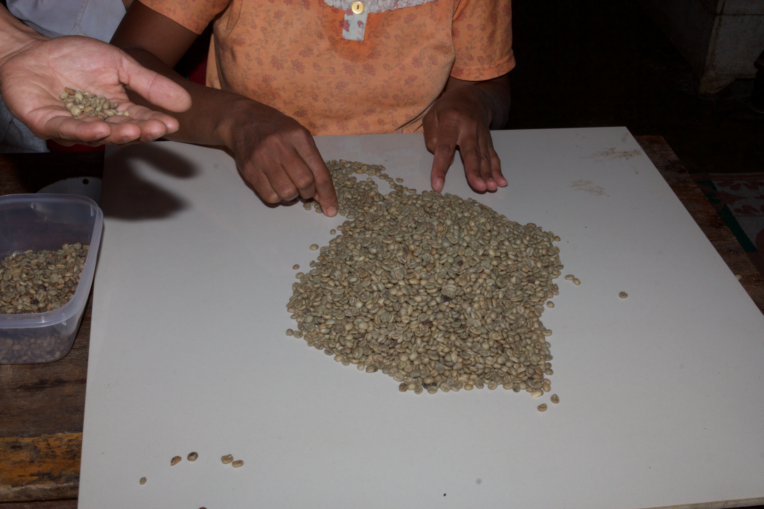 Panen Raya (Harvest Time)