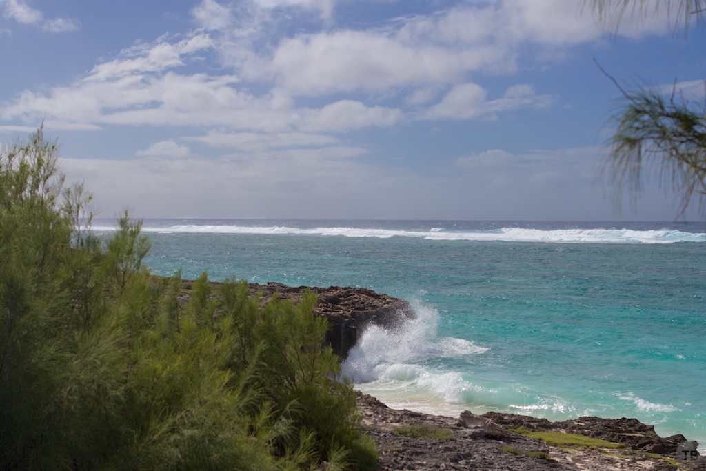 Point Cotton Hike