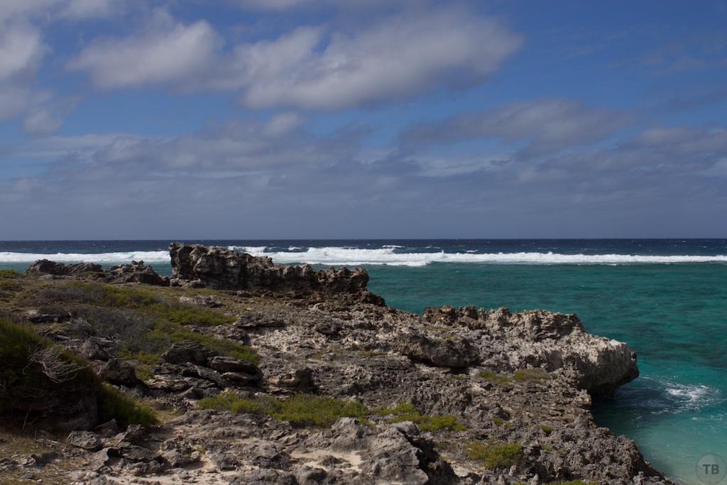 Point Cotton Hike