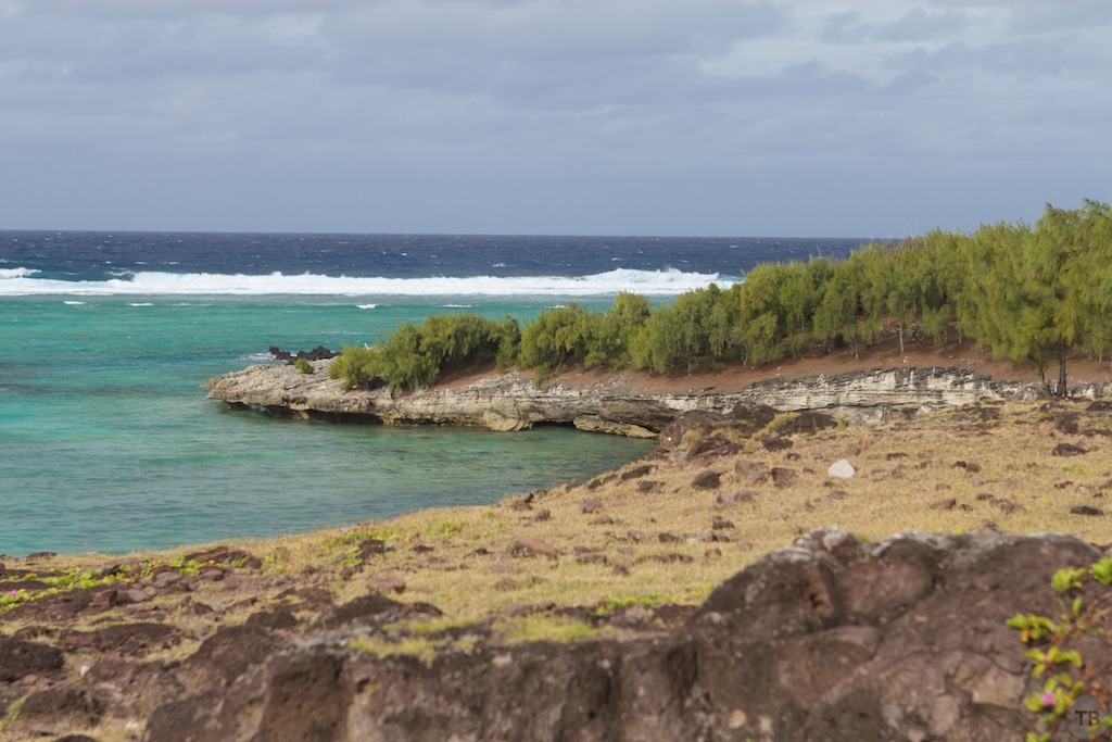 Point Cotton Hike