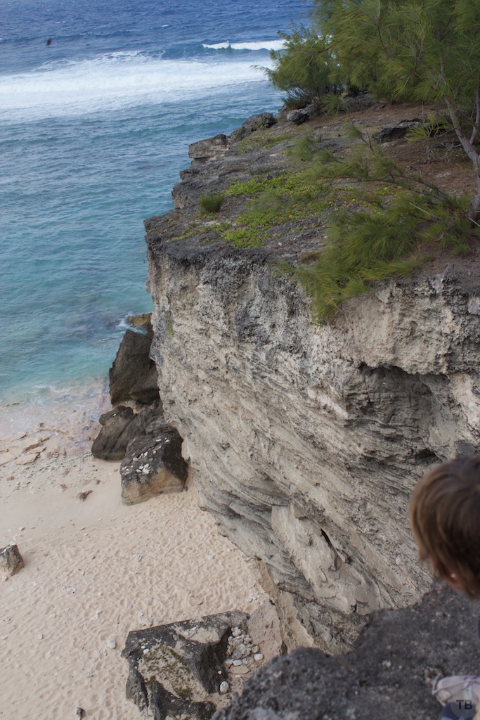 Point Cotton Hike