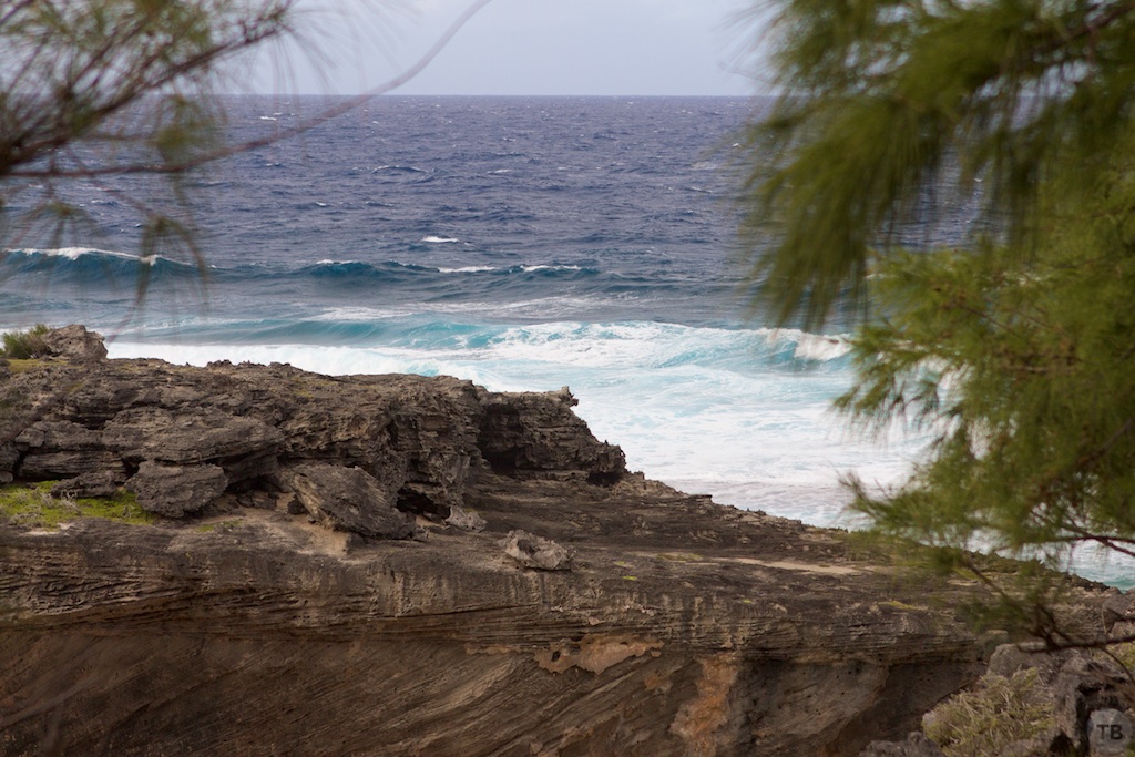 Point Cotton Hike