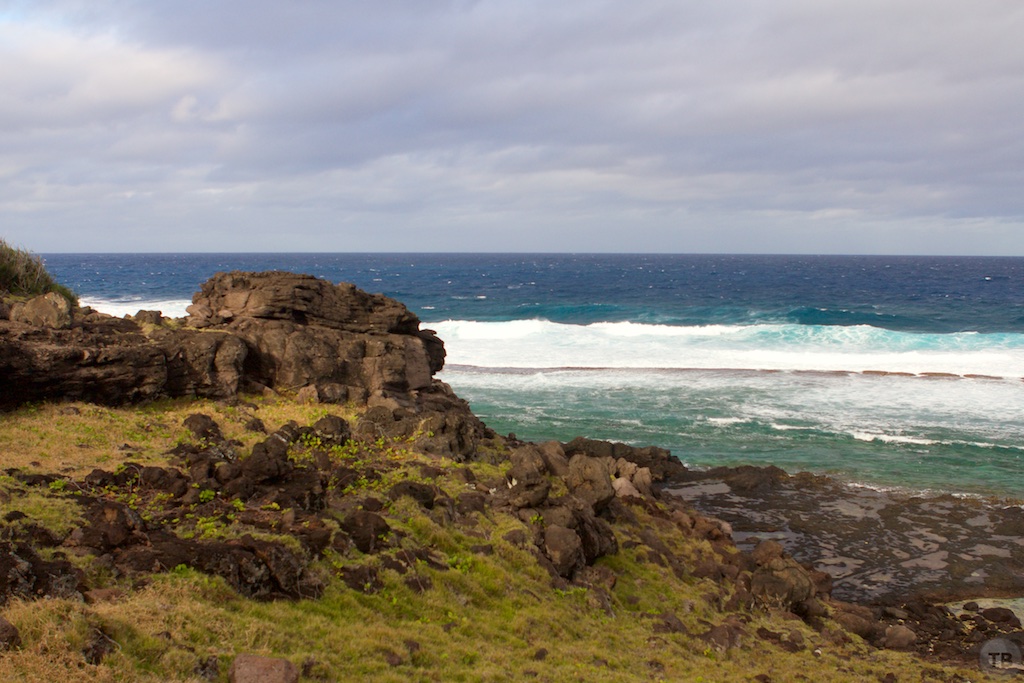 Point Cotton Hike