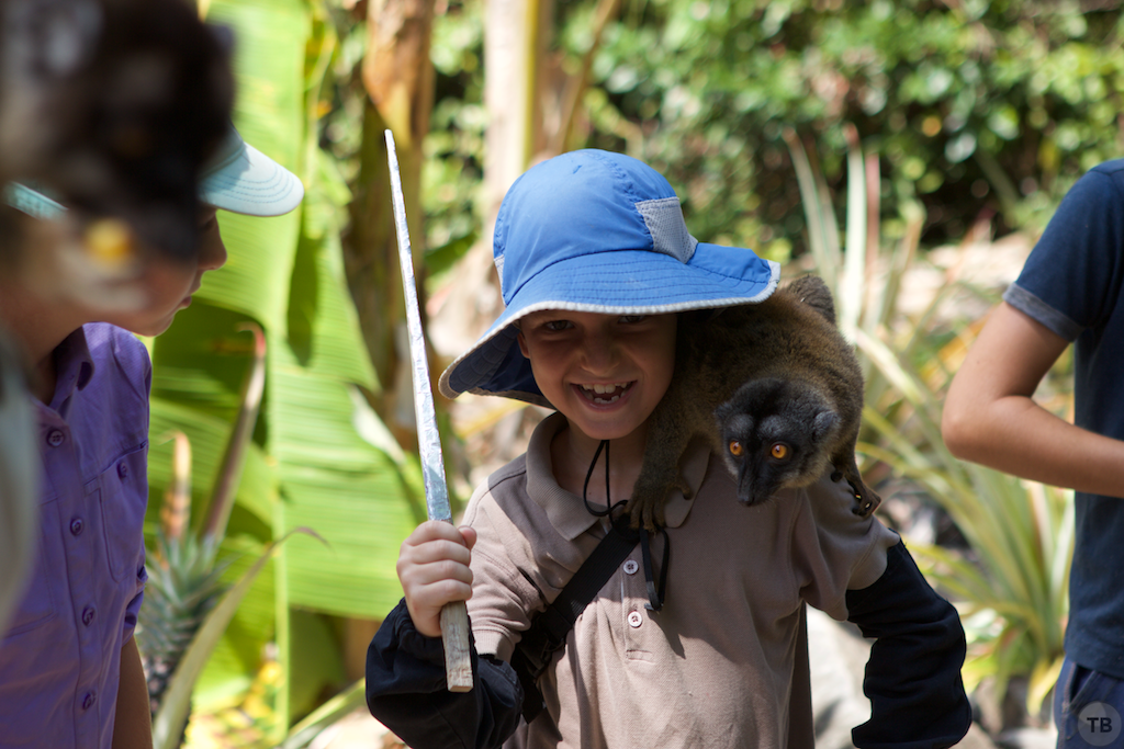 Madagascar's End
