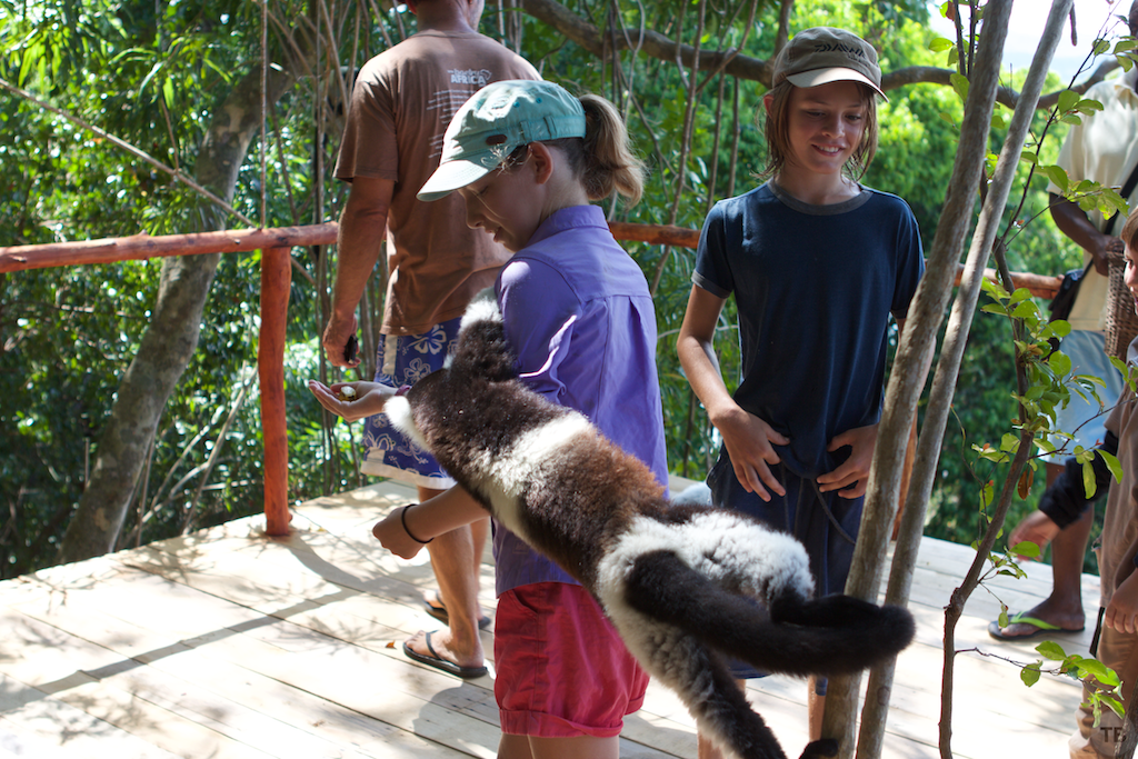 Madagascar's End