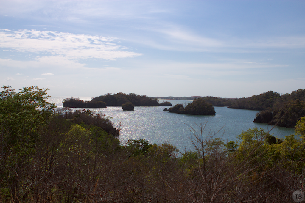 Madagascar's End