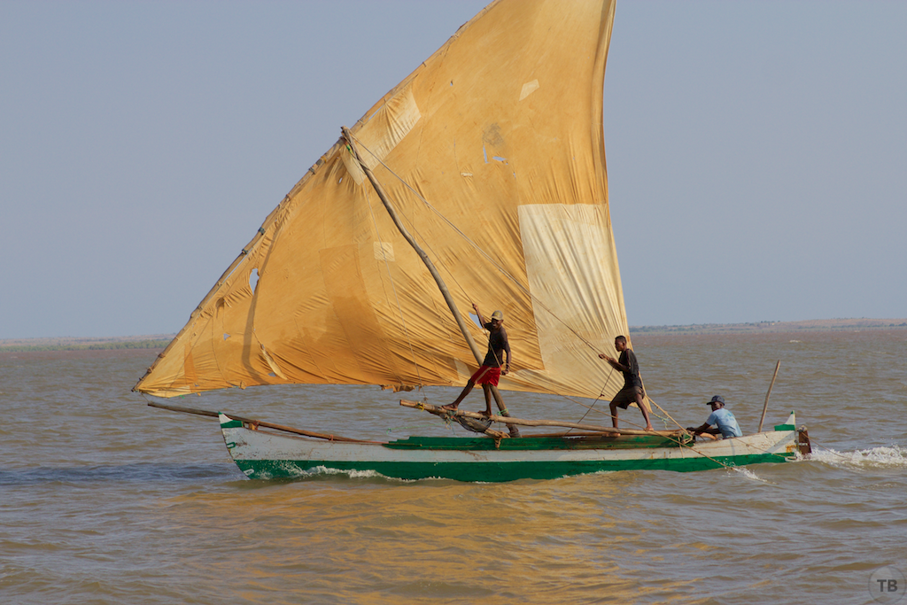 Madagascar's End