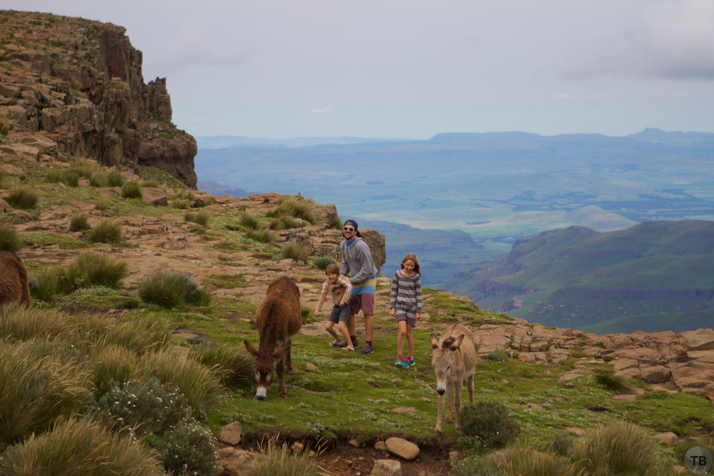 Sani Pass—Dangerous Road; Stunning Vista