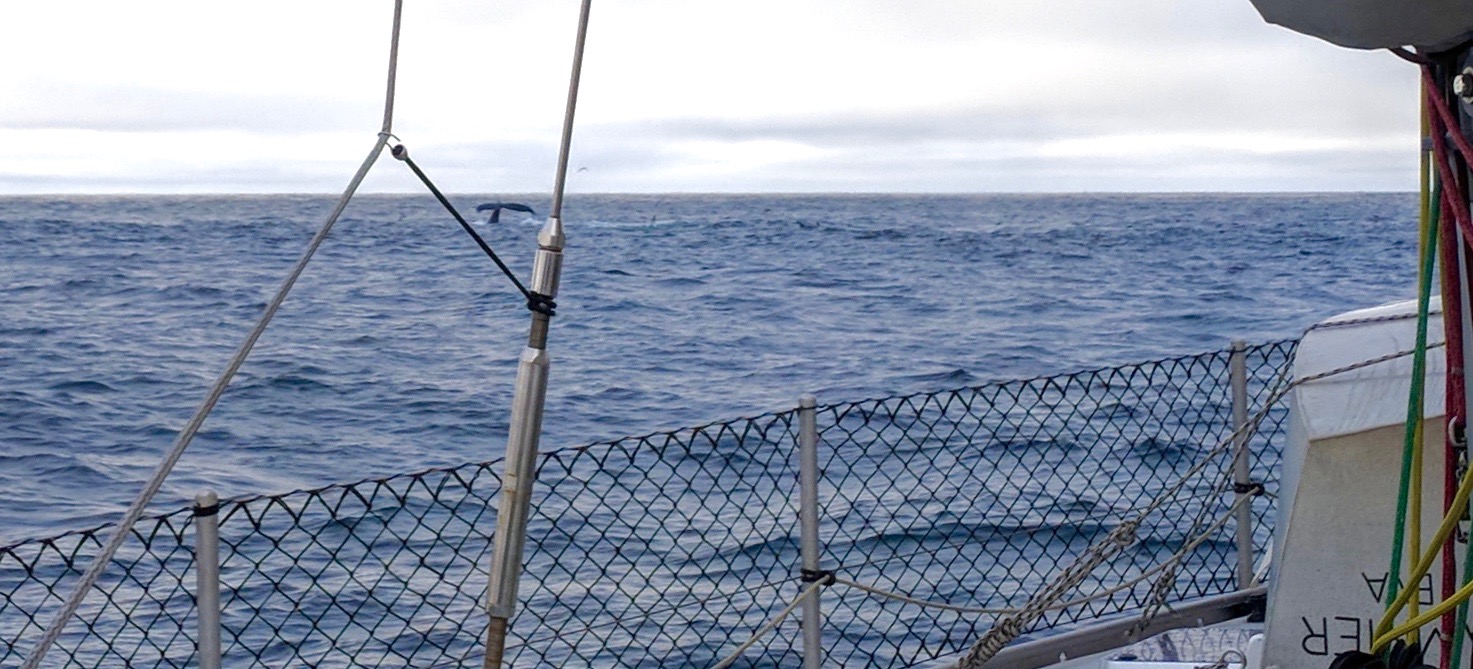 Portland to Grenada